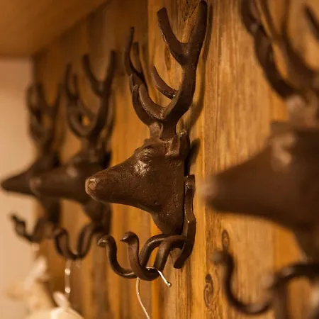 Chalet-platzhirsch 度假居